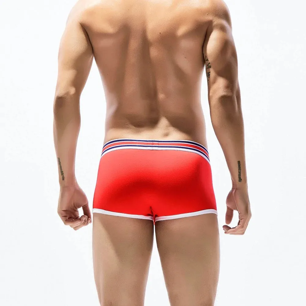 6 colors Cotton Printed Fashion Transparent Men's Boxer Underpants