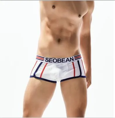 6 colors Cotton Printed Fashion Transparent Men's Boxer Underpants