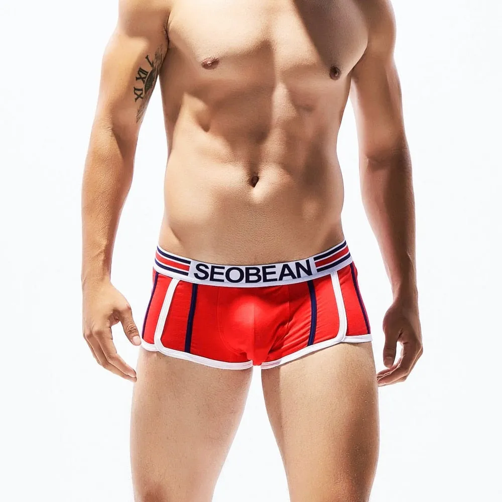 6 colors Cotton Printed Fashion Transparent Men's Boxer Underpants