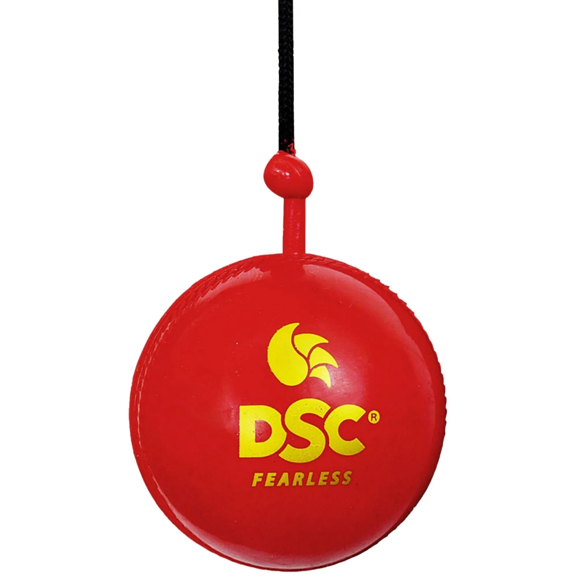 DSC Synthetic Hanging Practice Cricket Ball