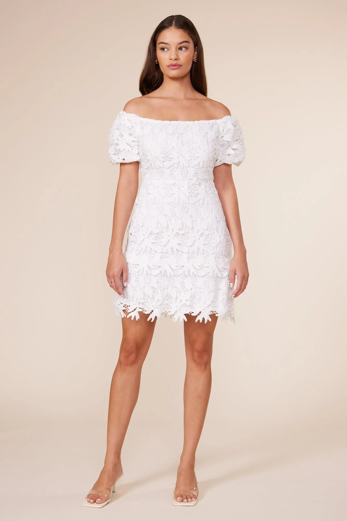 Fae Lace Mini Dress