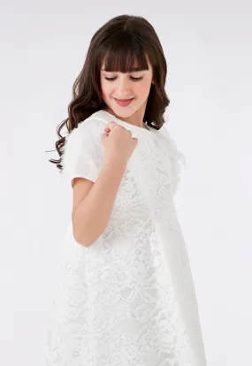 Lace Mesh Ruffle Sleeve Dress